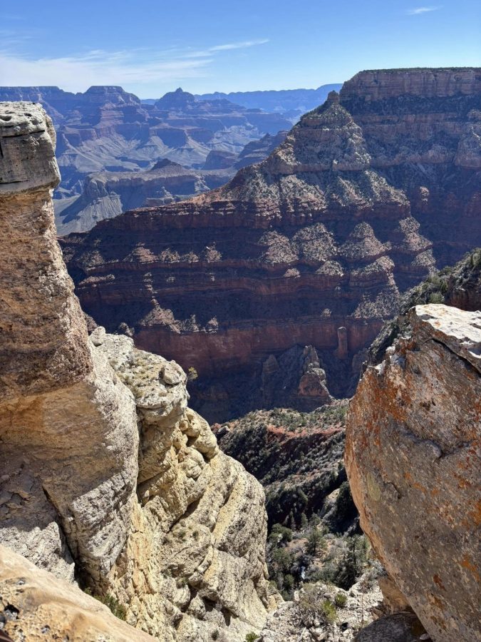 Grand Canyon image